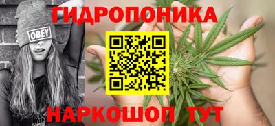 ГАЛЛЮЦИНОГЕННЫЕ ГРИБЫ Абинск