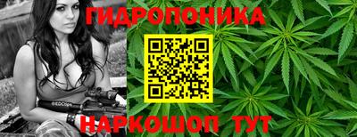 кокс Дубна