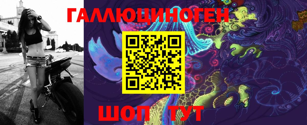 Псилоцибиновые грибы Cubensis  Галлюциногенные грибы мицелий  Гай 