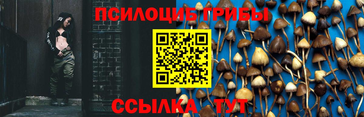 Галлюциногенные грибы Cubensis Гай