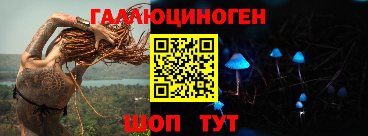 Галлюциногенные грибы MAGIC MUSHROOMS  наркошоп  Гай  Вход с VPN 