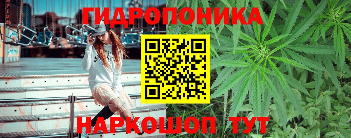 Бошки Шишки ГИДРОПОН Гай
